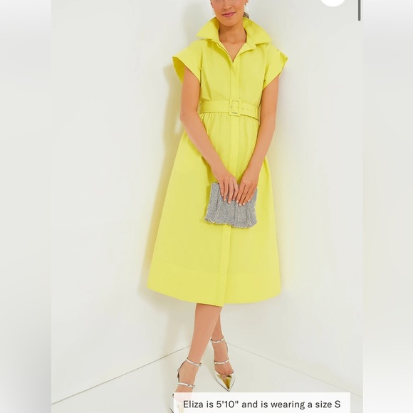 TUCKERNUCK Citron Chloe Dress SMALL - Picture 13 of 13